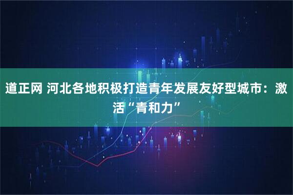 道正网 河北各地积极打造青年发展友好型城市：激活“青和力”