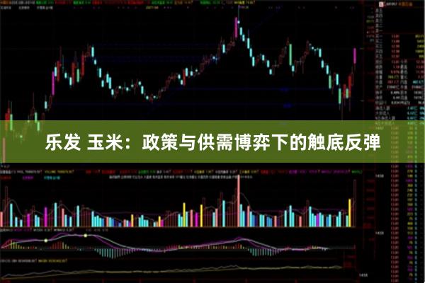 乐发 玉米：政策与供需博弈下的触底反弹