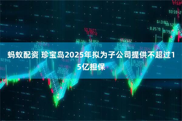 蚂蚁配资 珍宝岛2025年拟为子公司提供不超过15亿担保