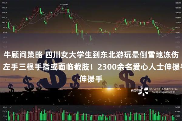 牛顾问策略 四川女大学生到东北游玩晕倒雪地冻伤，左手三根手指或面临截肢！2300余名爱心人士伸援手