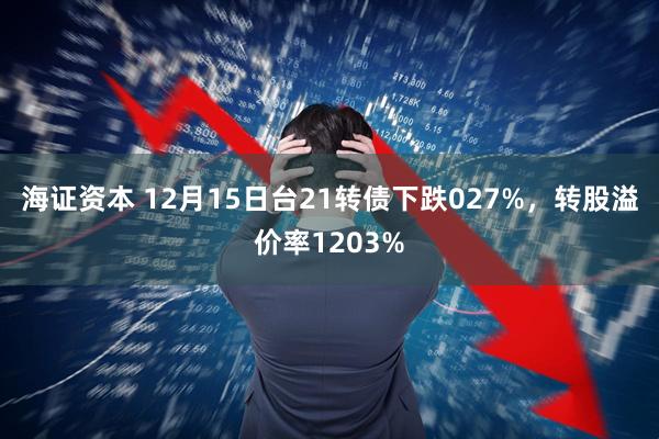 海证资本 12月15日台21转债下跌027%，转股溢价率1203%